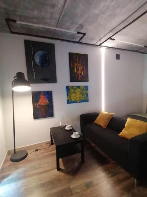 Erdvi Studija Spacious Studio Apartment Self Check In 维尔纽斯 外观 照片